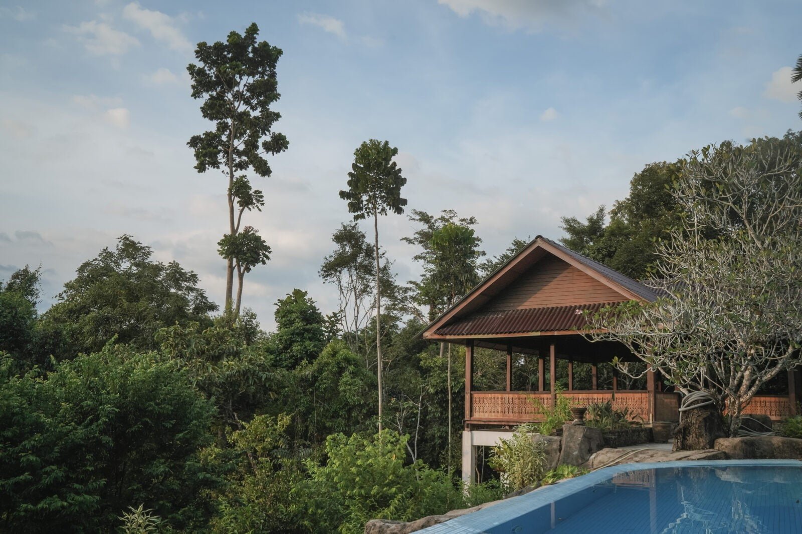 Kebun Risda ABOUT - Kebun Rimba